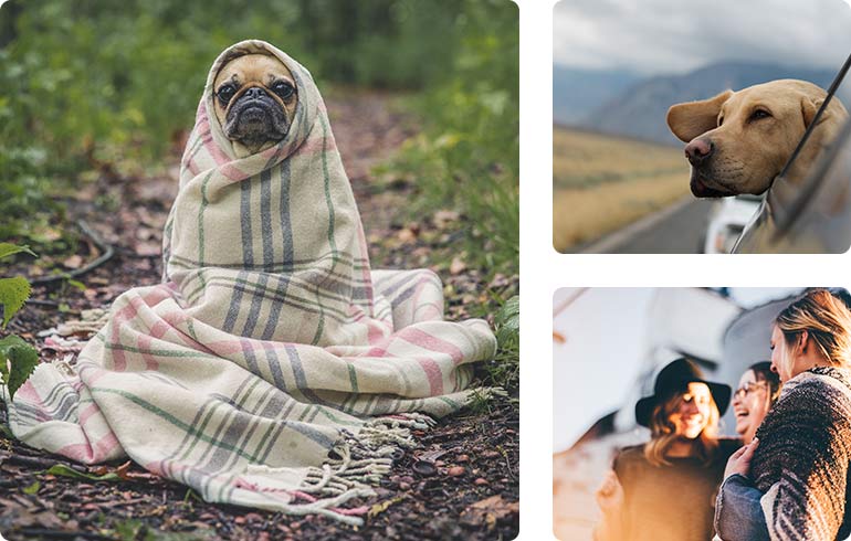 Razas de perro pequeñas